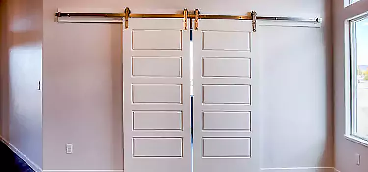 Glass Barn Door with Installation Hardware Kit Hopewell
