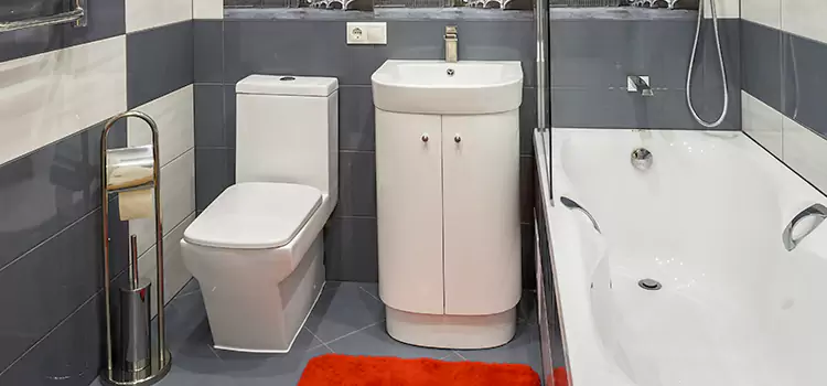 Hansgrohe Shaving Mirror Hopewell